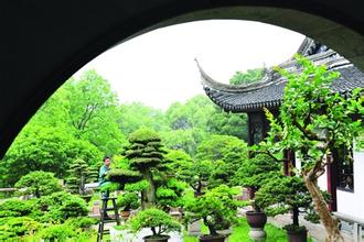 园艺师适合戴什么手表？自然本色的天梭是理想选择(图2)