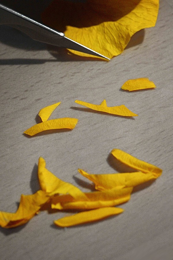 揭秘卡地亚鹦鹉花卉细工镶嵌腕表制作：精心唯美的工艺设计(图5)