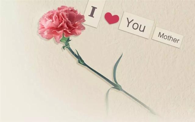 母亲节送什么?给妈妈最贴“芯”的爱(图7) 母亲节送什么?给妈妈最贴“芯”的爱(图7)