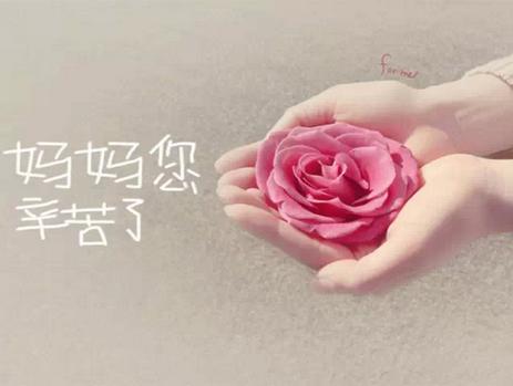 母亲节送什么?给妈妈最贴“芯”的爱(图14) 母亲节送什么?给妈妈最贴“芯”的爱(图14)