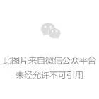 一篇关于手表的文章(图1)