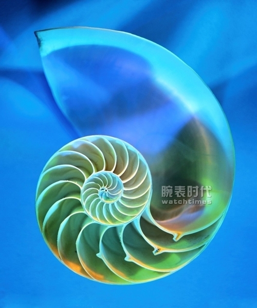 男人需要三款表？一款百达翡丽鹦鹉螺就够了！(图4)