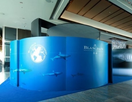 宝珀“心系海洋”香港展览瞩目亮相 唤起大家对海洋保育的关注(图2) 宝珀“心系海洋”香港展览瞩目亮相 唤起大家对海洋保育的关注(图2)